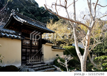 当麻寺西南院と蝋梅 【奈良県葛城市】 当麻寺西南院と蝋梅 【奈良県葛城市】 122225260