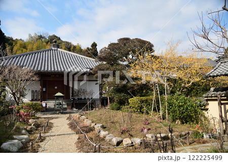 当麻寺西南院(本堂と蝋梅)　【奈良県葛城市】 122225499
