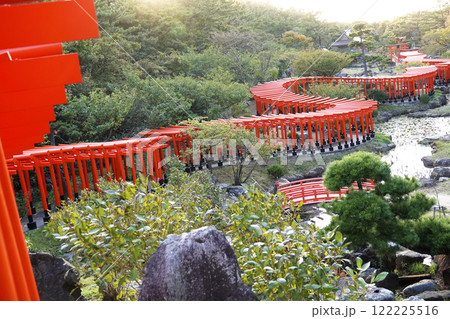 夕陽を浴びて龍のようにくねる千本鳥居 122225516