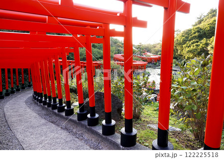 千本鳥居内参道から龍のように続く鳥居を見る 122225518