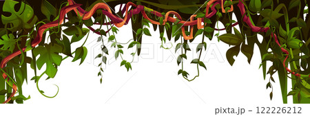 Jungle liana frame - border with twisted vines 122226212