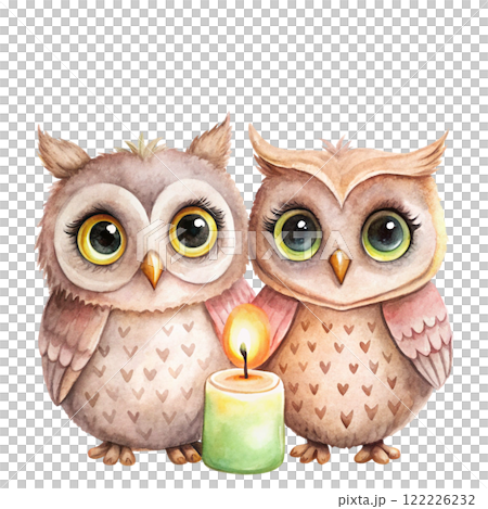Owls  Valentine's Day Clipart Watercolor  122226232