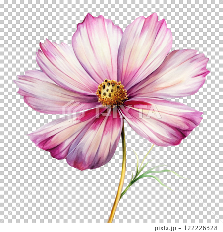 Flower Petals Clipart Watercolor Flower Petals Clipart Watercolor 122226328