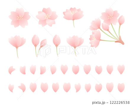 かわいい桜の花のイラスト素材セット 122226538