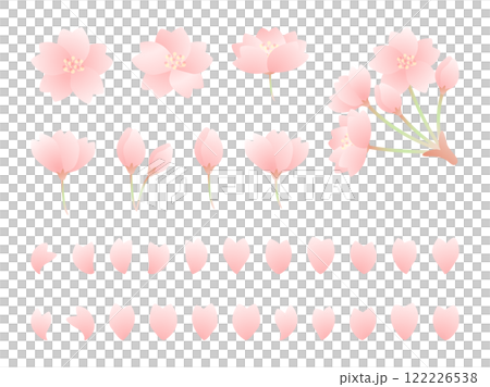 可愛的櫻花花朵插畫素材集 122226538