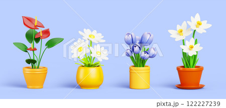 3d set of flowerpots isolated on blue background render. Anturium, daisy, tulip, daffodil. House plants with green leaf and color blossom, flower shop or home interior design elements. 3D illustration 3d set of flowerpots isolated on blue background render. Anturium, daisy, tulip, daffodil. House plants with green leaf and color blossom, flower shop or home interior design elements. 3D illustration 122227239