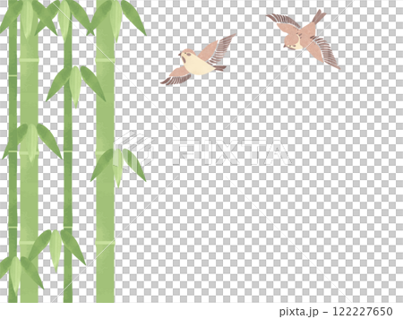 Bamboo and sparrow background illustration 122227650
