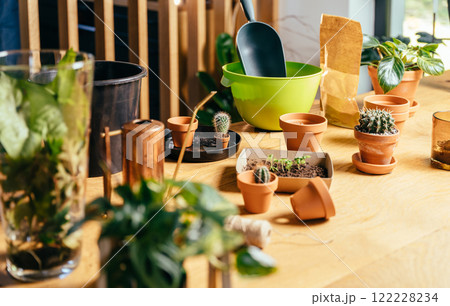 Clay pot plants on wooden table in home. 122228234
