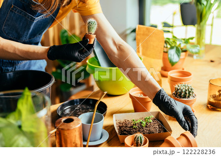 Side view of hands in gloves of unrecognizable housewife fills ceramic pot with soil to plant seedlings representing home gardening as a hobby. Copy space image Place for adding text or design. Side view of hands in gloves of unrecognizable housewife fills ceramic pot with soil to plant seedlings representing home gardening as a hobby. Copy space image Place for adding text or design. 122228236