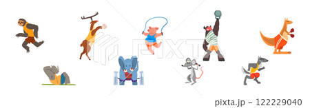 Funny Animal in Gym Do Sport Activity Vector Set Funny Animal in Gym Do Sport Activity Vector Set 122229040