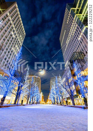 冬の札幌　北3条広場 (アカプラ)のイルミネーション　旧道庁（赤レンガ庁舎）前　 北海道札幌市 122229252