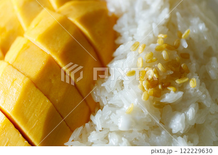 Delicious Mango sticky rice, Thai dessert from sticky rice, ripe mango, coconut milk. Delicious Mango sticky rice, Thai dessert from sticky rice, ripe mango, coconut milk. 122229630
