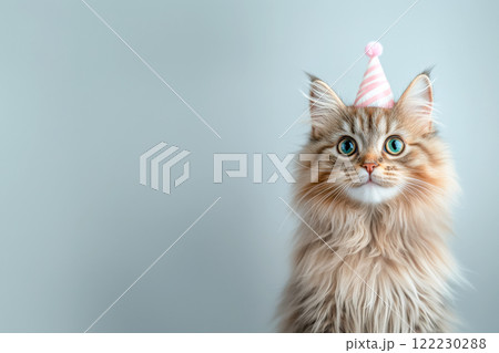 Minimalist birthday card with a kitten in a party hat, soft pastel background with empty space for text. Minimalist birthday card with a kitten in a party hat, soft pastel background with empty space for text. 122230288