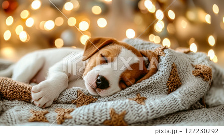 Poster with beagle puppy sleeping on blanket, close up, birthday card idea and pet care 122230292