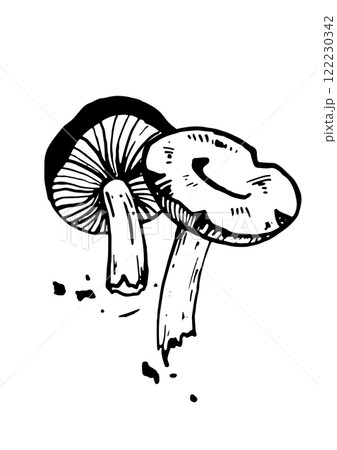 mushroom vector skatch on white background 122230342