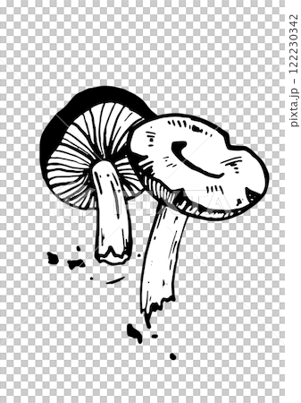 mushroom vector skatch on white background 122230342