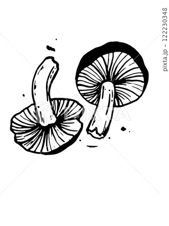 mushroom vector skatch on white background 122230348