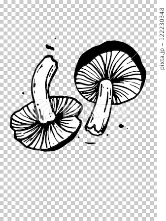 mushroom vector skatch on white background 122230348