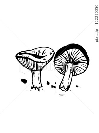 mushroom vector skatch on white background 122230350