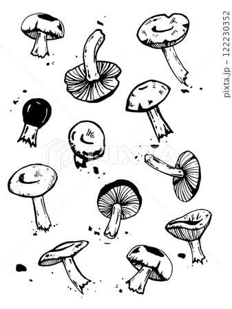 mushroom vector skatch on white background 122230352