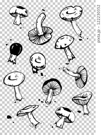 mushroom vector skatch on white background 122230352