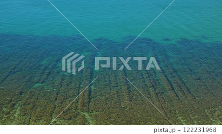 Underwater Seabed with Seagrass. A close-up of a shallow seabed with a dense growth of seagrass. The water is clear and turquoise, allowing for a clear view of the underwater landscape. Underwater Seabed with Seagrass. A close-up of a shallow seabed with a dense growth of seagrass. The water is clear and turquoise, allowing for a clear view of the underwater landscape. 122231968