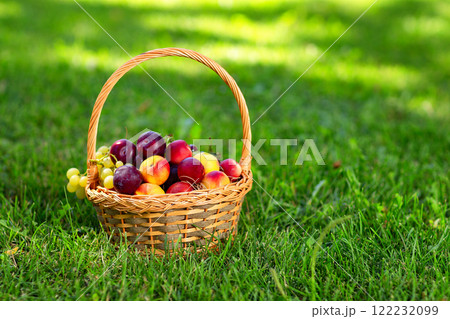 Closeup basket of ripe fruits at green garden grass background. 122232099