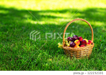 Closeup basket of ripe fruits at green garden grass background. 122232101