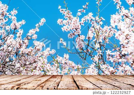 Spring nature background. White flowering branches and wooden table top Spring nature background. White flowering branches and wooden table top 122232927