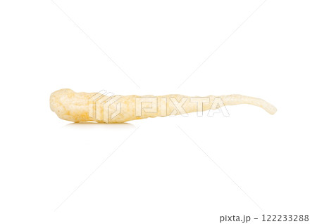 Dried fish maw pile isolated on white background 122233288