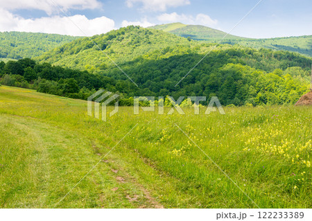 countryside landscape in mountains of ukraine. wide open scenery. rural field on the hill near the forest. sunny day with clouds on the sky. carpathian alps 122233389