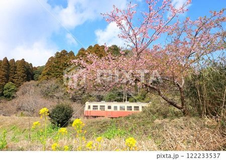 小湊鐵道「河津桜咲く早春の田舎風景」 122233537