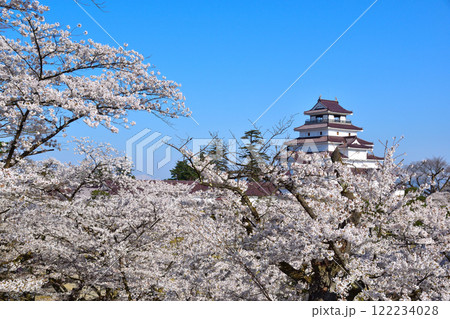 桜景 会津若松城 桜景 会津若松城 122234028