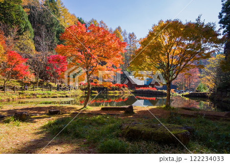 せせらぎ街道・西ウレ峠の紅葉《岐阜県高山市清見町》 122234033