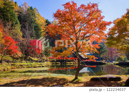 せせらぎ街道・西ウレ峠の紅葉《岐阜県高山市清見町》 122234037