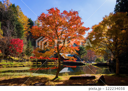 せせらぎ街道・西ウレ峠の紅葉《岐阜県高山市清見町》 せせらぎ街道・西ウレ峠の紅葉《岐阜県高山市清見町》 122234038