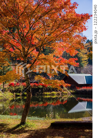 せせらぎ街道・西ウレ峠の紅葉《岐阜県高山市清見町》 122234040