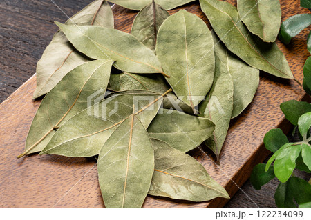 ローリエの葉 122234099
