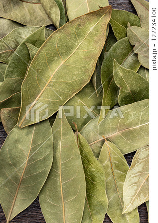 ローリエの葉 ローリエの葉 122234100