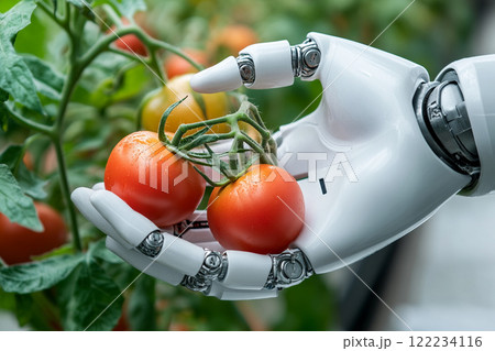 Robot Hand with Tomatoes 122234116