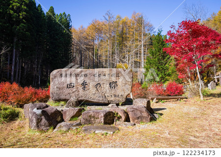 せせらぎ街道・西ウレ峠の紅葉《岐阜県高山市清見町》 122234173