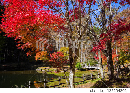せせらぎ街道・西ウレ峠の紅葉《岐阜県高山市清見町》 せせらぎ街道・西ウレ峠の紅葉《岐阜県高山市清見町》 122234262