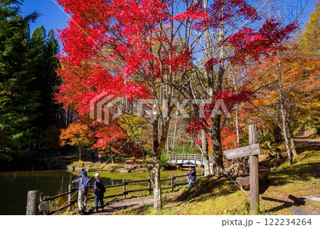 せせらぎ街道・西ウレ峠の紅葉《岐阜県高山市清見町》 せせらぎ街道・西ウレ峠の紅葉《岐阜県高山市清見町》 122234264