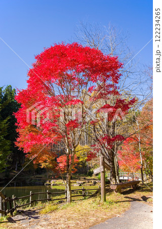 せせらぎ街道・西ウレ峠の紅葉《岐阜県高山市清見町》 せせらぎ街道・西ウレ峠の紅葉《岐阜県高山市清見町》 122234265