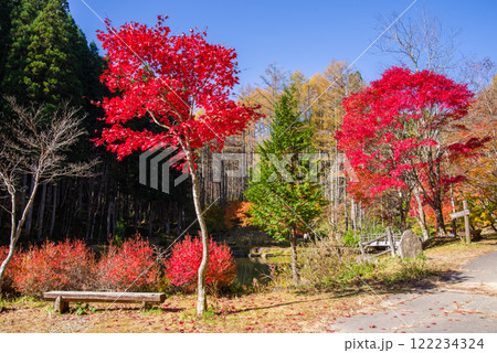 せせらぎ街道・西ウレ峠の紅葉《岐阜県高山市清見町》 122234324