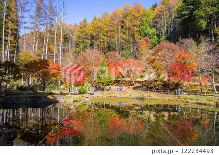 せせらぎ街道・西ウレ峠の紅葉《岐阜県高山市清見町》 122234493