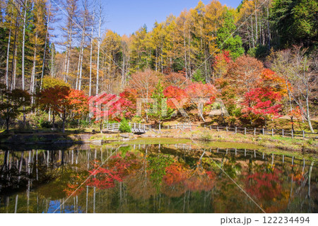 せせらぎ街道・西ウレ峠の紅葉《岐阜県高山市清見町》 122234494