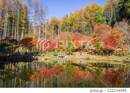 せせらぎ街道・西ウレ峠の紅葉《岐阜県高山市清見町》 122234495