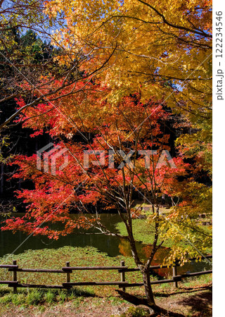 せせらぎ街道・西ウレ峠の紅葉《岐阜県高山市清見町》 122234546