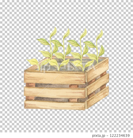 A wooden box filled with vibrant green seedlings is showcased in this watercolor clipart. Perfect for eco-friendly product packaging, gardening designs, or digital illustrations with a nature focus A wooden box filled with vibrant green seedlings is showcased in this watercolor clipart. Perfect for eco-friendly product packaging, gardening designs, or digital illustrations with a nature focus 122234639